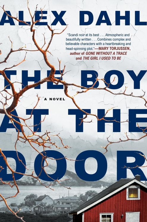Produktbild: The Boy at the Door