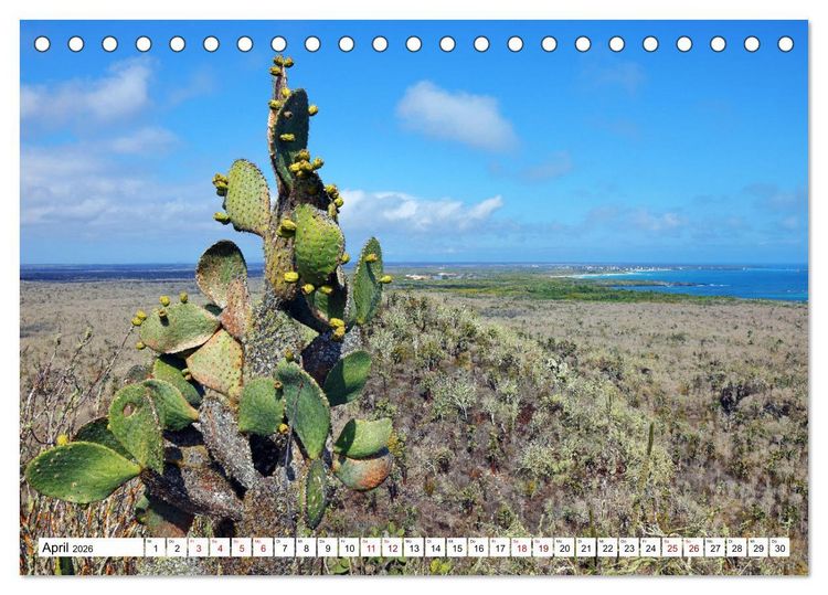 Produktbild: Gal&aacute;pagos - Die verwunschenen Inseln (Tischkalender 2026 DIN A5 quer), CALVENDO Monatskalender