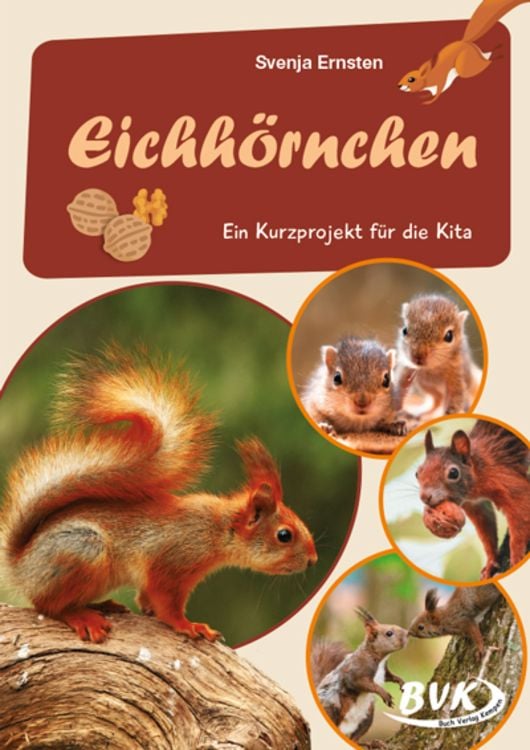 Produktbild: Eichhörnchen