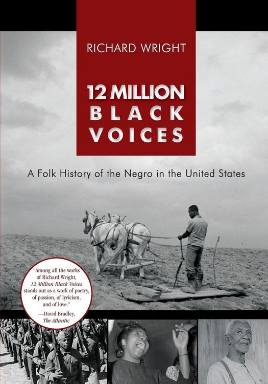 Produktbild: 12 Million Black Voices