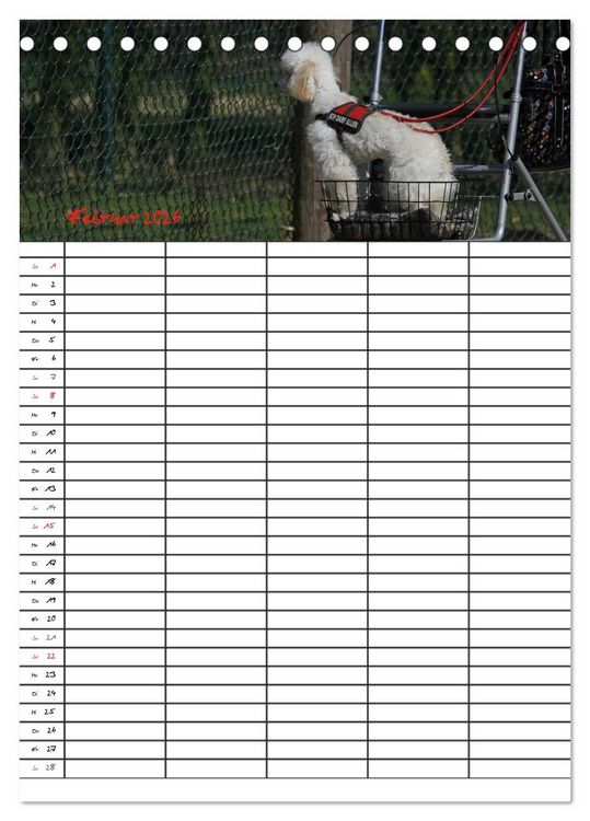 Produktbild: Der Pudel-Familienplaner (Tischkalender 2026 DIN A5 hoch), CALVENDO Monatskalender