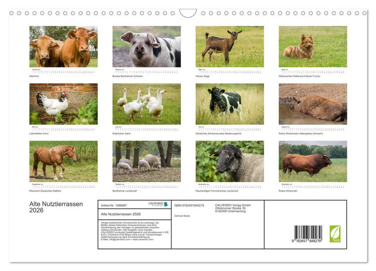 Produktbild: Alte Nutztierrassen 2026 (Wandkalender 2026 DIN A3 quer), CALVENDO Monatskalender