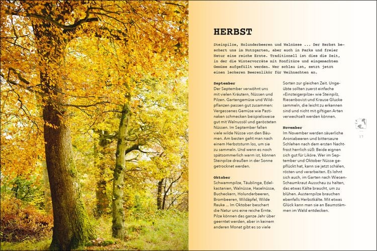 Produktbild: Wilde Ernte