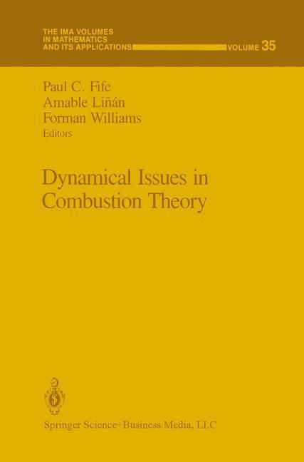 Produktbild: Dynamical Issues in Combustion Theory