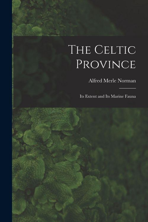 Produktbild: The Celtic Province