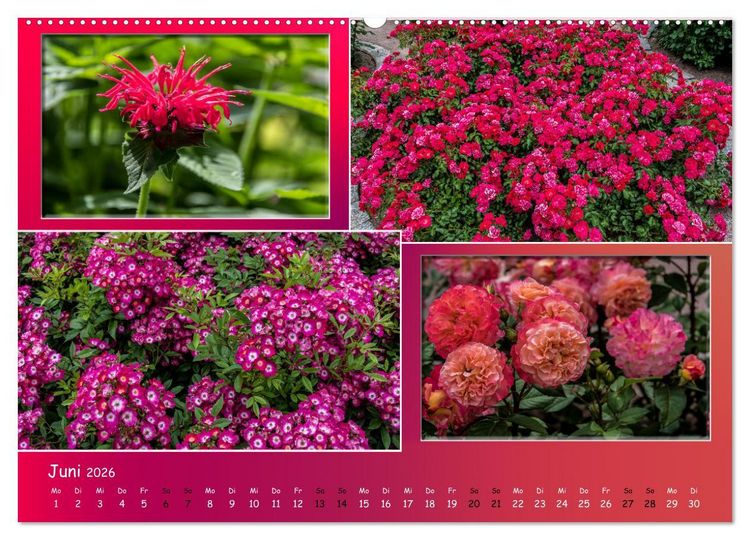 Produktbild: Erfurt erbl&uuml;ht (Wandkalender 2026 DIN A2 quer), CALVENDO Monatskalender