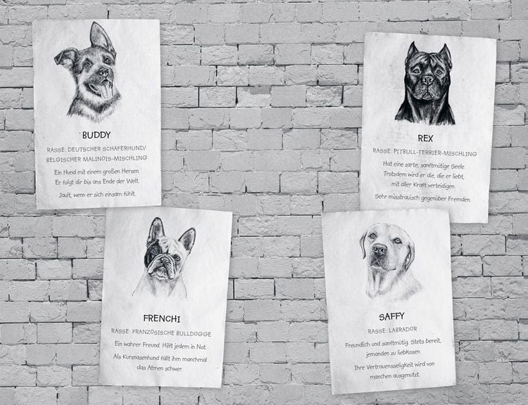 Produktbild: Buddy &ndash; Mein Leben als Stra&szlig;enhund