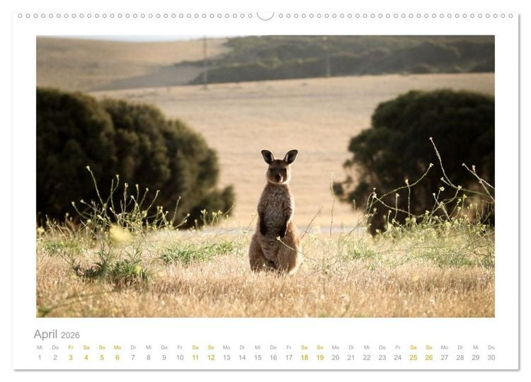 Produktbild: Ein L&auml;cheln f&uuml;r die Tierwelt (Wandkalender 2026 DIN A2 quer), CALVENDO Monatskalender