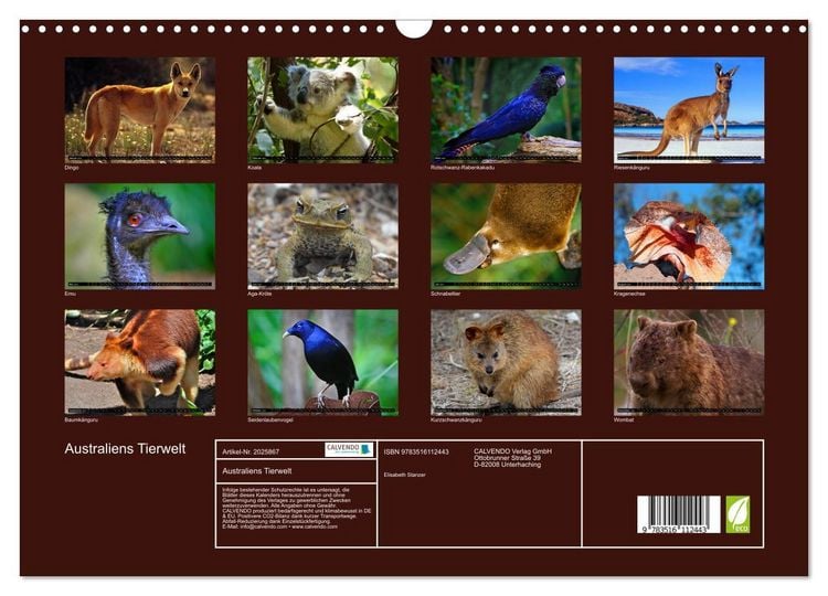 Produktbild: Australiens Tierwelt (Wandkalender 2026 DIN A3 quer), CALVENDO Monatskalender