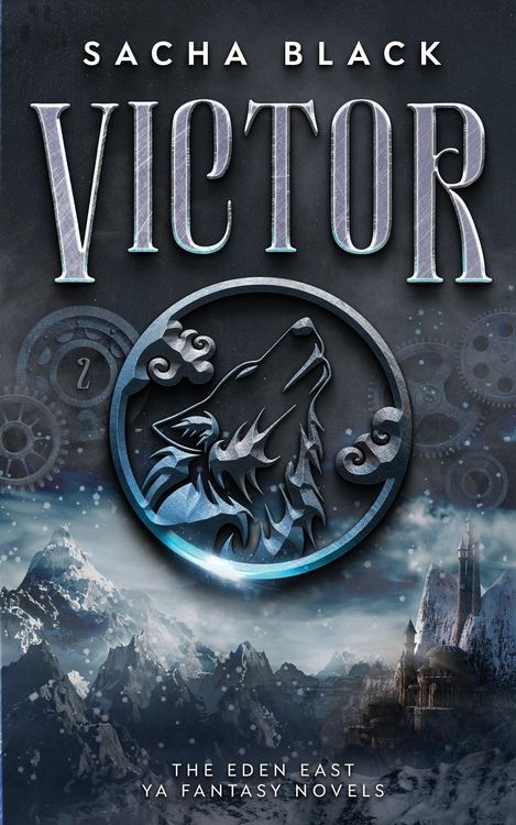 Produktbild: Victor