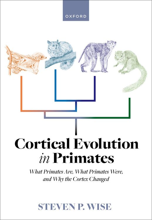 Produktbild: Cortical Evolution in Primates