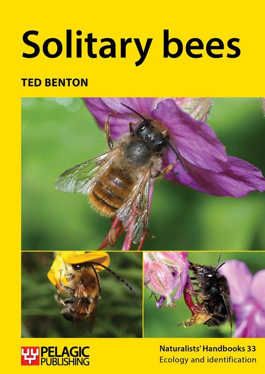 Produktbild: Solitary bees