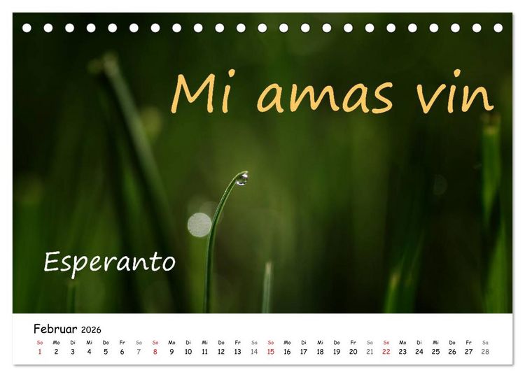 Produktbild: Ich liebe Dich (Tischkalender 2026 DIN A5 quer), CALVENDO Monatskalender