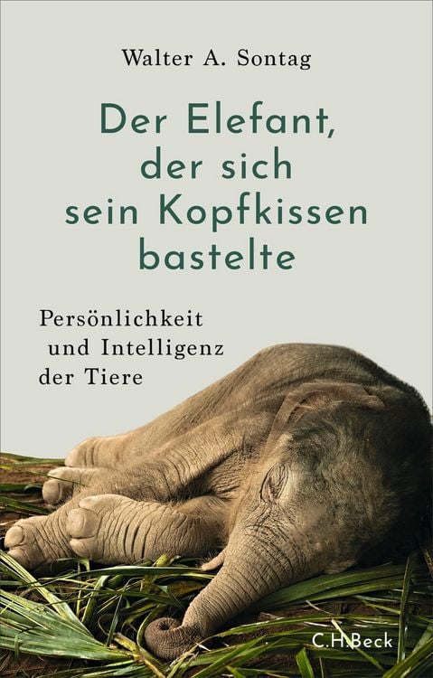 Produktbild: Der Elefant, der sich sein Kopfkissen bastelte