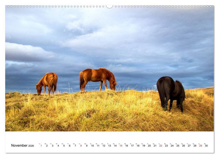 Produktbild: ISLAND Atemberaubende Natur aus Feuer und Eis (Wandkalender 2026 DIN A2 quer), CALVENDO Monatskalender