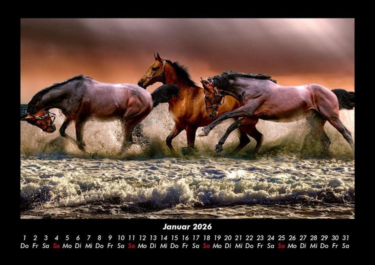 Produktbild: Pferde Kalender 2026 Fotokalender DIN A3