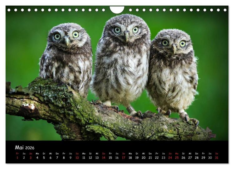 Produktbild: Billerbeck - Perle der Baumberge (Wandkalender 2026 DIN A4 quer), CALVENDO Monatskalender