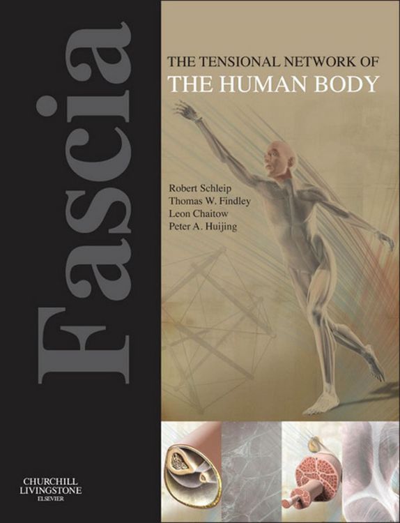 Produktbild: Fascia: The Tensional Network of the Human Body