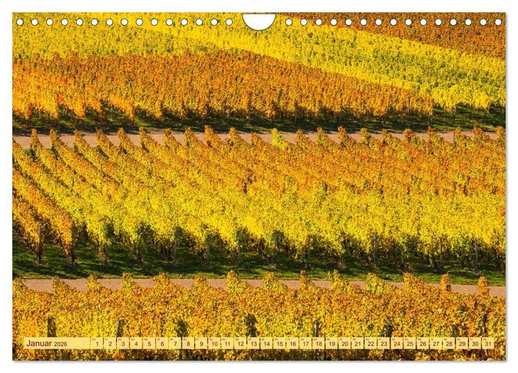 Produktbild: Farbenpr&auml;chtige Weinberge (Wandkalender 2026 DIN A4 quer), CALVENDO Monatskalender