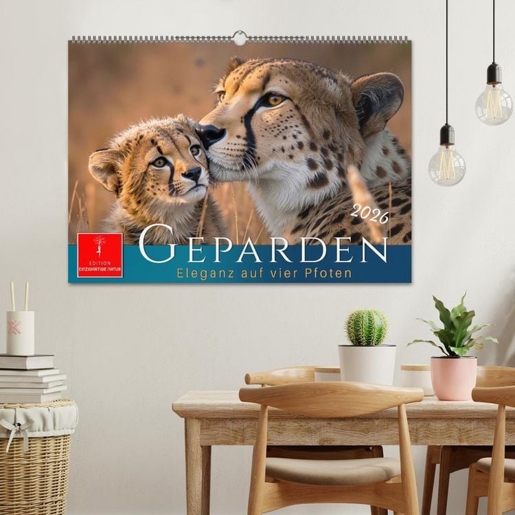 Produktbild: Geparden - Eleganz auf vier Pfoten (Wandkalender 2026 DIN A2 quer), CALVENDO Monatskalender