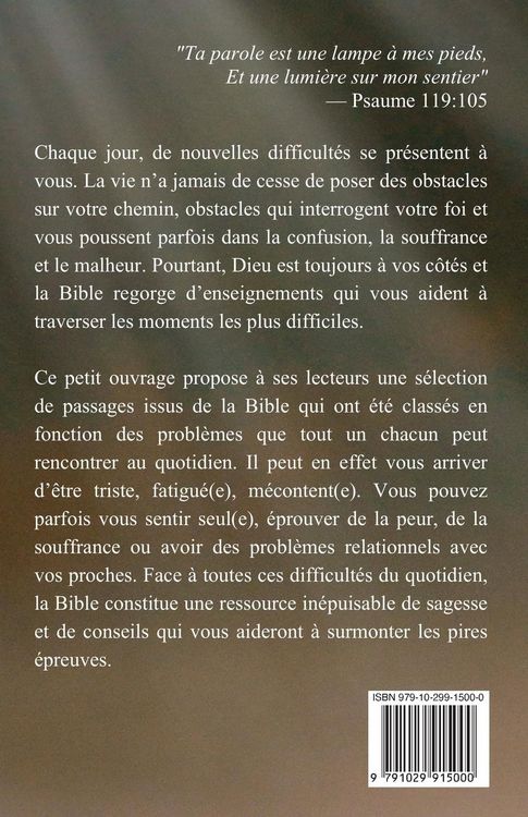 Produktbild: La Bible dans les moments difficiles