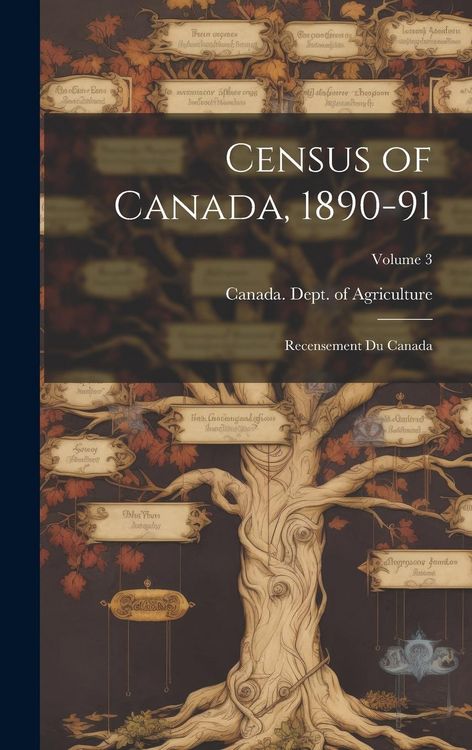 Produktbild: Census of Canada, 1890-91: Recensement Du Canada; Volume 3