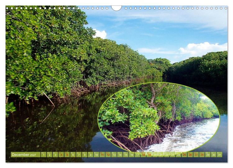 Produktbild: Mangroves - Valuable Habitat (Wall Calendar 2027 DIN A3 landscape), CALVENDO 12 Month Wall Calendar