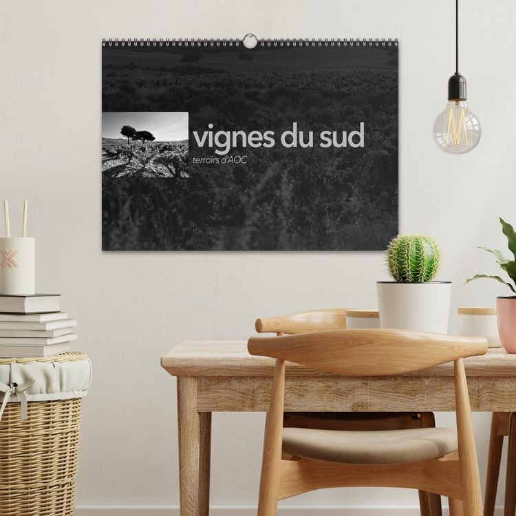 Produktbild: VIGNES DU SUD terroirs d'AOC (Calendrier mural 2026 DIN A3 vertical), CALVENDO calendrier mensuel