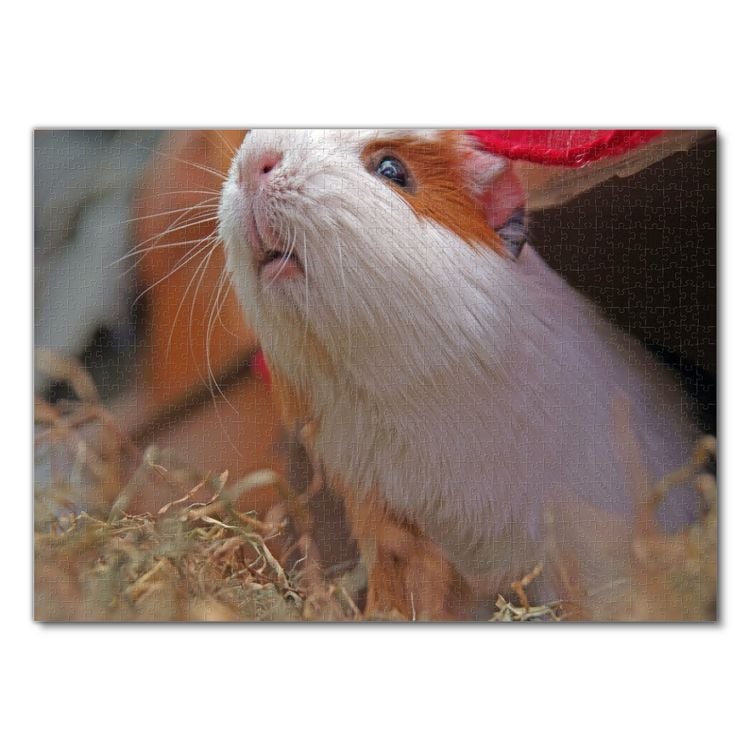 Produktbild: Lais Puzzle Meerschweinchen 1000 Teile