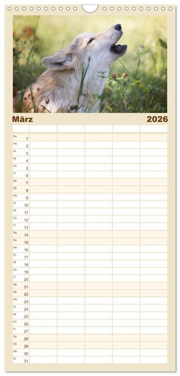 Produktbild: Familienplaner 2026 - Wolfshunde 2026 mit 5 Spalten (Wandkalender, 21 x 45 cm) CALVENDO