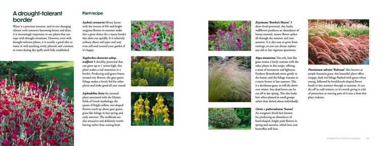 Produktbild: How to Create Beautiful Flowerbeds and Borders