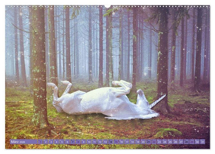 Produktbild: Einhorn Welt - vertr&auml;umte Einhornbilder (hochwertiger Premium Wandkalender 2026 DIN A2 quer), Kunstdruck in Hochglanz
