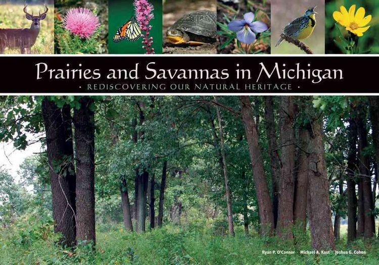 Produktbild: Prairies and Savannas in Michigan: Rediscovering Our Natural Heritage