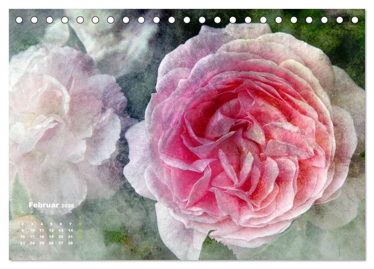 Produktbild: Rosen Romantik (Tischkalender 2026 DIN A5 quer), CALVENDO Monatskalender