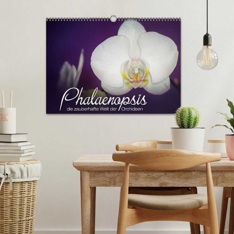 Produktbild: Phalaenopsis - die zauberhafte Welt der Orchideen (Wandkalender 2026 DIN A3 quer), CALVENDO Monatskalender