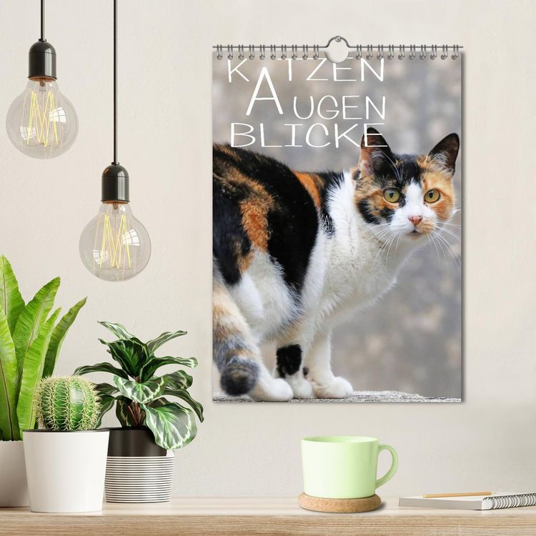 Produktbild: KATZEN AUGEN BLICKE (Wandkalender 2026 DIN A4 hoch), CALVENDO Monatskalender