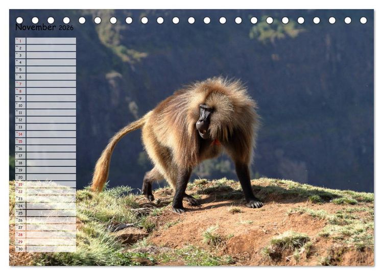 Produktbild: Abenteuer &Auml;thiopien (Tischkalender 2026 DIN A5 quer), CALVENDO Monatskalender