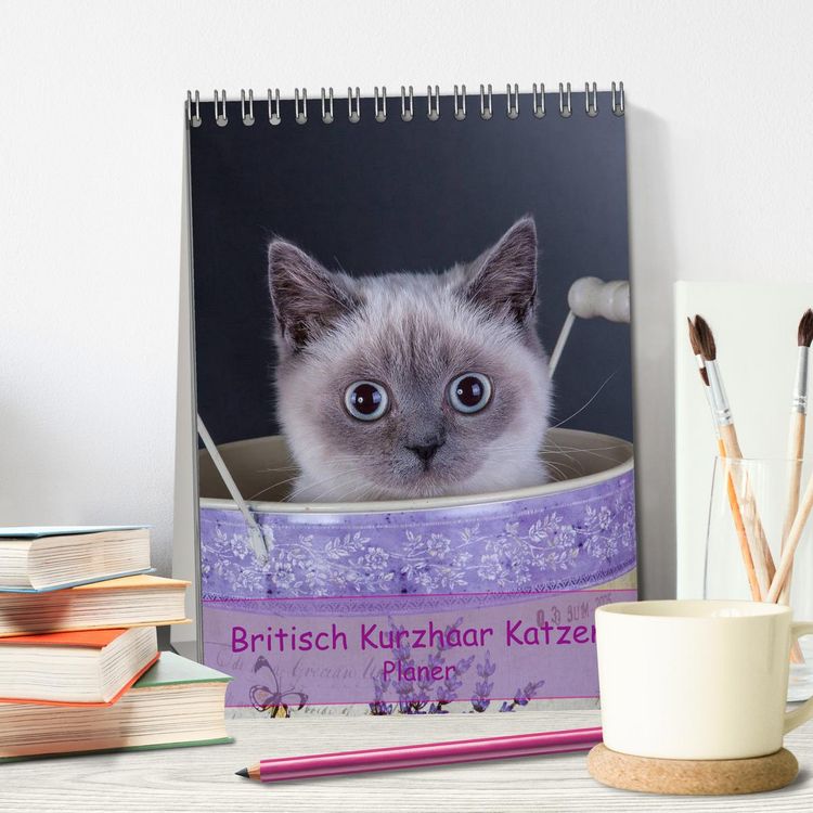 Produktbild: Britisch Kurzhaar Katzen - Planer (Tischkalender 2026 DIN A5 hoch), CALVENDO Monatskalender