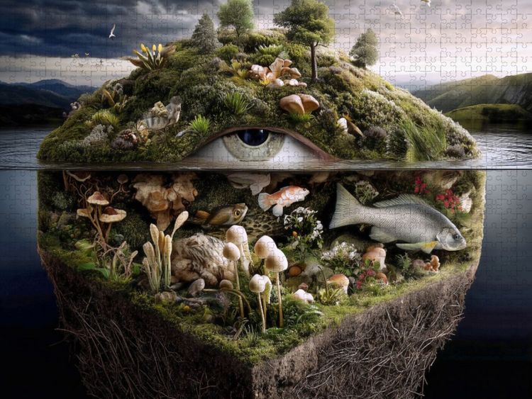 Produktbild: CALVENDO Puzzle Auge der Natur | 2000 Teile Lege-Gr&ouml;&szlig;e 90x67cm Foto-Puzzle f&uuml;r gl&uuml;ckliche Stunden