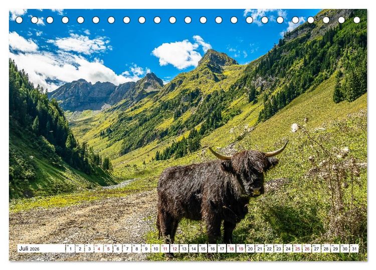 Produktbild: Kuhle Typen (Tischkalender 2026 DIN A5 quer), CALVENDO Monatskalender