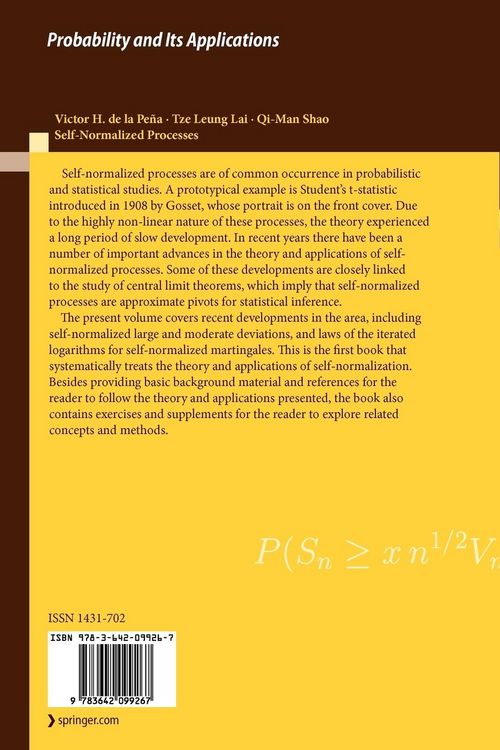 Produktbild: Self-Normalized Processes
