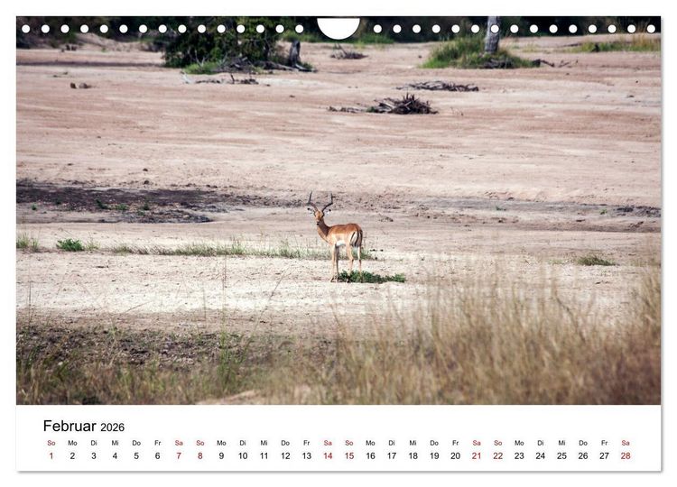 Produktbild: Sambia und der Sambesi (Wandkalender 2026 DIN A4 quer), CALVENDO Monatskalender