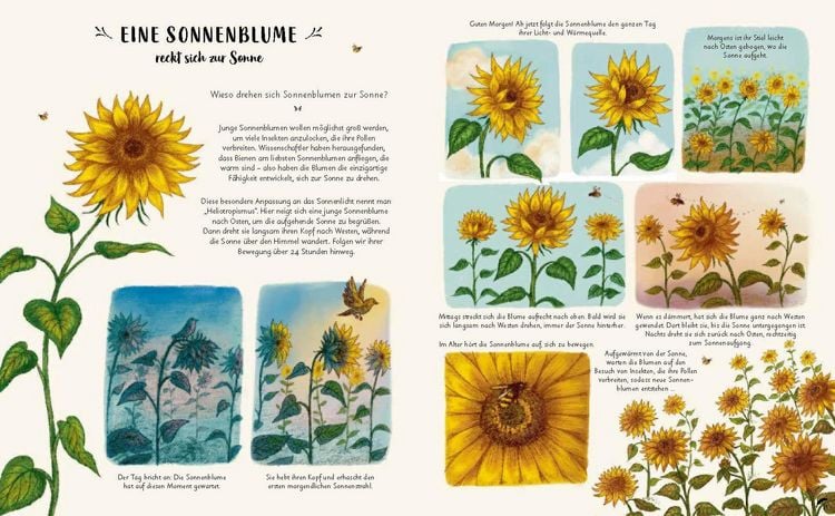 Produktbild: Wunder der Natur zum Innehalten und Staunen
