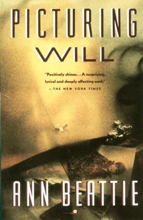 Produktbild: Picturing Will