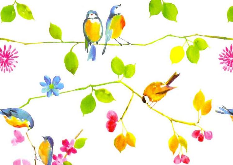 Produktbild: Watercolor Birds Note Cards
