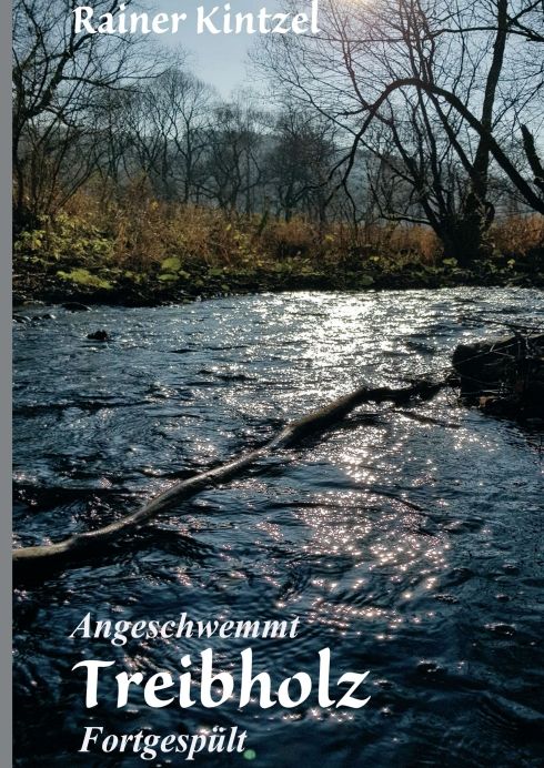 Produktbild: Angeschwemmt - Treibholz