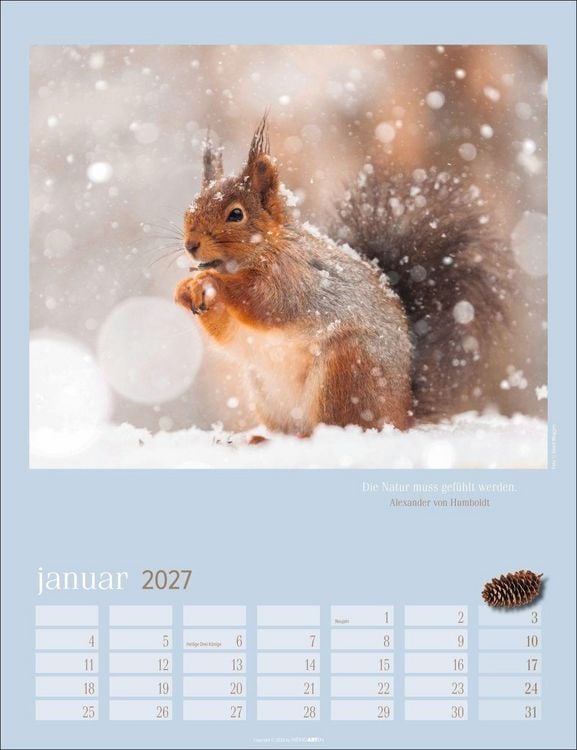 Produktbild: Eichh&ouml;rnchen Kalender 2027