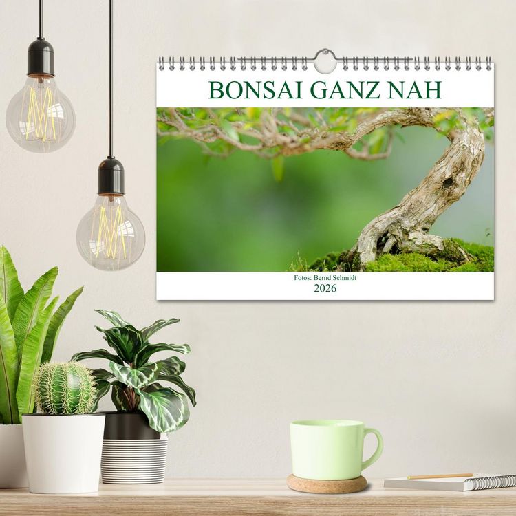 Produktbild: Bonsai ganz nah (Wandkalender 2026 DIN A4 quer), CALVENDO Monatskalender