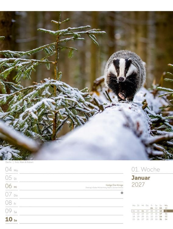 Produktbild: Unser Wald Wochenplaner Kalender 2027