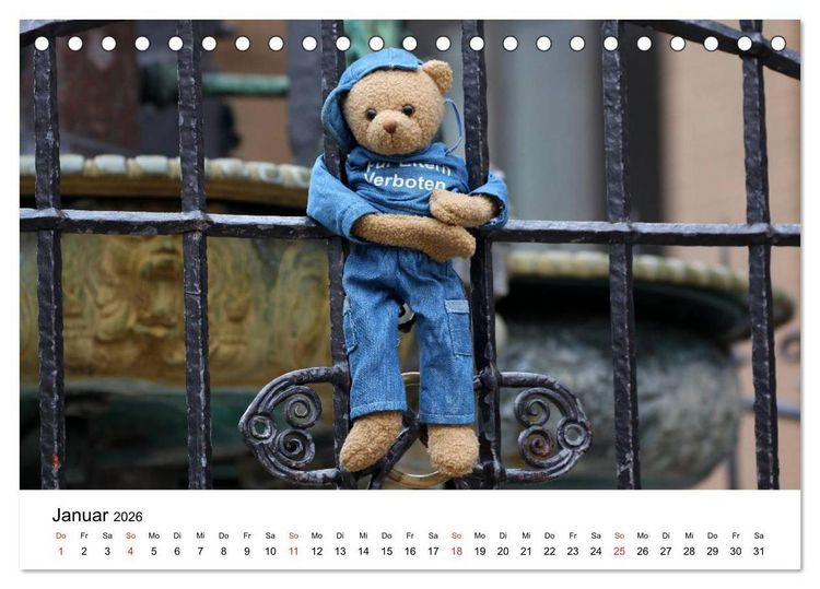 Produktbild: Teddys...jeder liebt sie (Tischkalender 2026 DIN A5 quer), CALVENDO Monatskalender